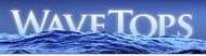 WaveTops-USNAAA Newsletter